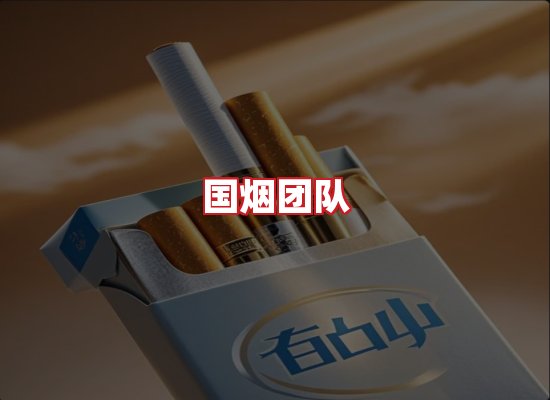 国烟团队